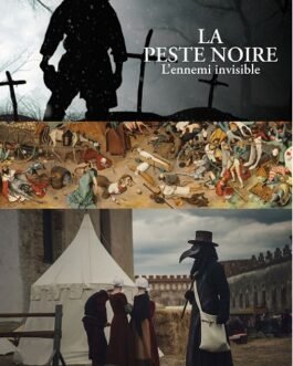 Histoire de La peste noire