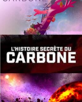 L’histoire secrète du carbone