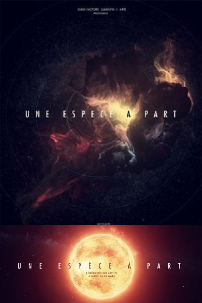 L'homme n'est pas unique ,une espèce à part sur Tiktoka.eu et amazon.fr documentaire audio gratuit