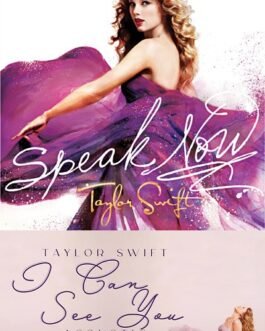 Taylor Swift - Album Speak Now sur Tiktoka.eu et Spotify.com music gratuit