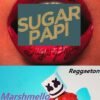 Marshmello - Album Sugar Papi 2023 sur Tiktoka.eu et Spotify.com music gratuit free