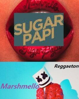 Marshmello - Album Sugar Papi 2023 sur Tiktoka.eu et Spotify.com music gratuit free